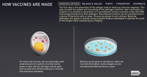 How Vaccines are Made from The History of Vaccines