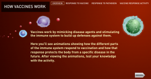 How Vaccines Work from The History of Vaccines